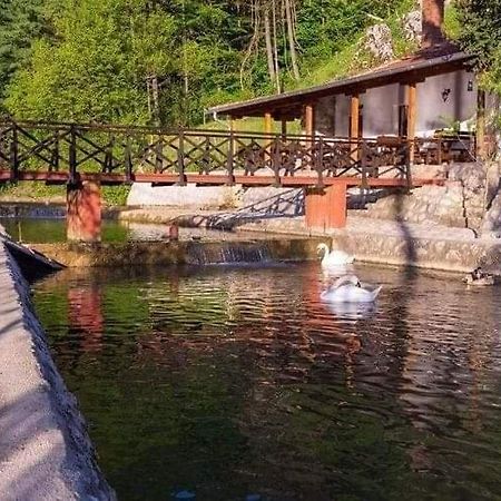 Valja Mare Moma Appartement Golubac Buitenkant foto
