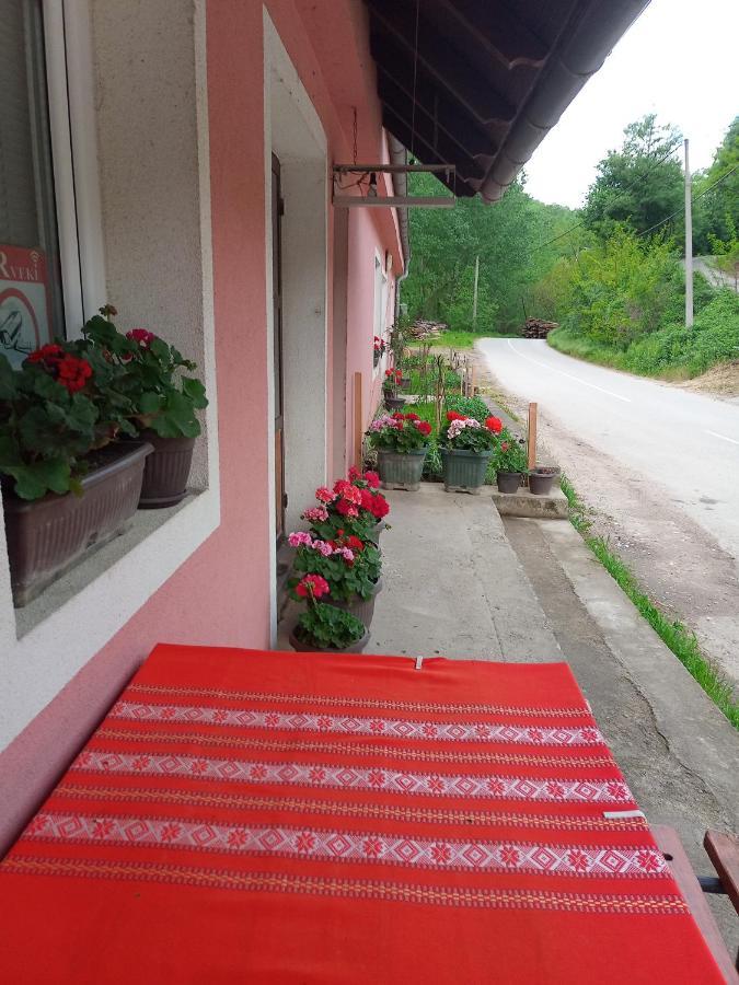 Valja Mare Moma Appartement Golubac Buitenkant foto