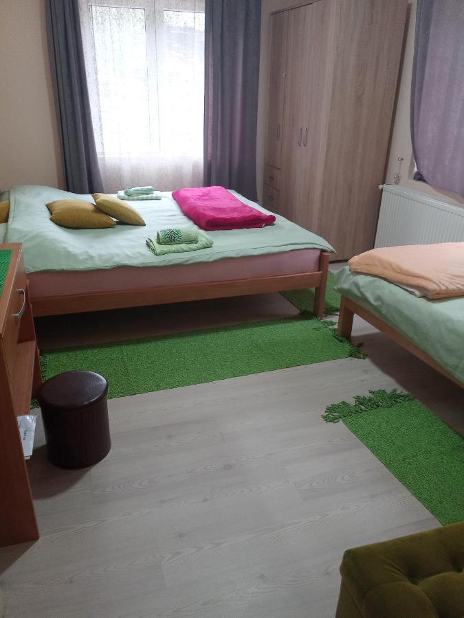Valja Mare Moma Appartement Golubac Buitenkant foto