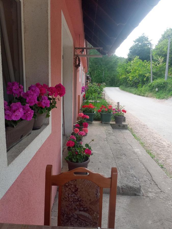 Valja Mare Moma Appartement Golubac Buitenkant foto