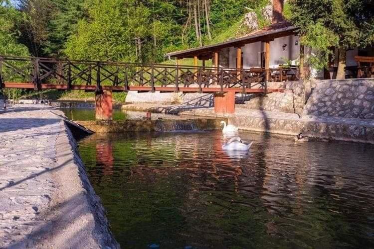 Valja Mare Moma Appartement Golubac Buitenkant foto