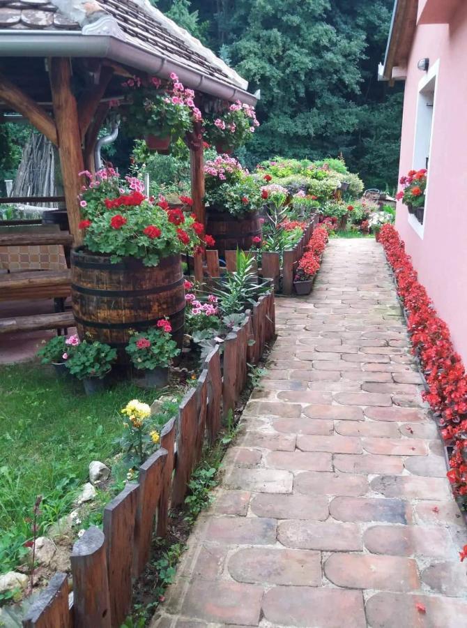 Valja Mare Moma Appartement Golubac Buitenkant foto